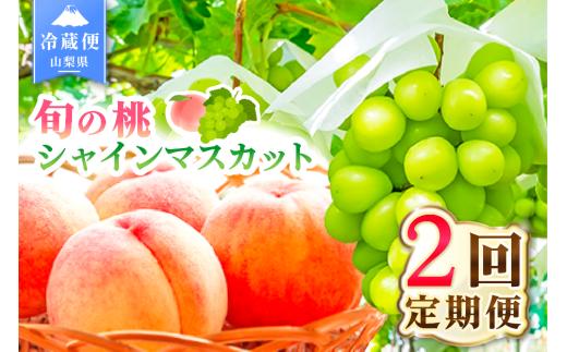 【2027年発送★先行予約】 2回定期便 旬のフルーツ定期便（桃1㎏・シャインマスカット1房） 180-021-27y