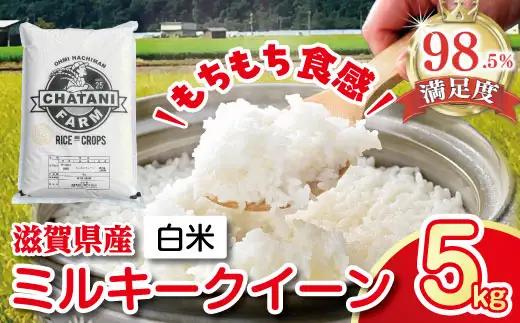 【PRキャンペーン対象】【7年産】近江米 ミルキークイーン 白米 5kg 【V009W1】近江米