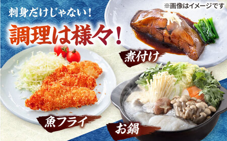 【海鮮の宝庫！五島産調理しやすい魚の切り身】 朝獲れ旬の鮮魚セット 3~4kg加工済み 高級 鮮魚 三枚おろし あら 真空パック おまかせ 旬 刺身 レシピ付き 長崎  五島市 / マルセイ水産 [P