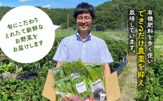 旬の京野菜 スペシャルコース《野菜詰め合わせ 野菜セット 京野菜 旬の野菜 新鮮野菜 有機野菜 減農薬》