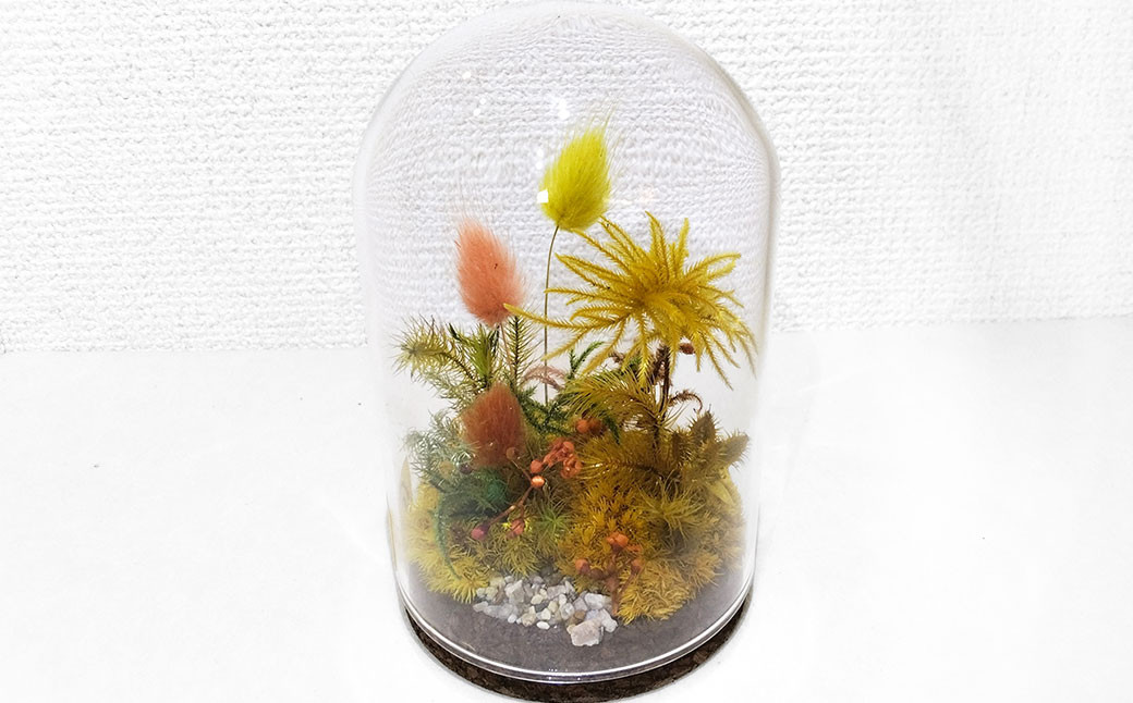 
            【さとリウム®】プリザーブド加工のテラリウム 秋 1セット テラリウム ガラスドーム 苔 こけ コケ 植物 鑑賞用 インテリア 水やり不要
          