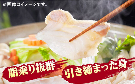 【1週間以内発送】対馬産 幻の高級魚 クエ 500g 冷凍配送 くえ アラ 切身 [WAA004] スピード発送 最速発送 最短発送