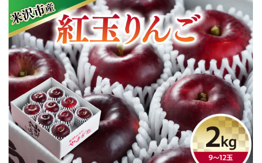 【 令和6年産 】 紅玉 （ りんご ） 2kg 9～12玉 〔 10月中旬～お届け 〕 2024年産