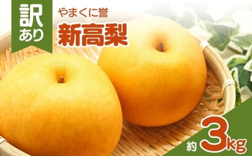 やまくに誉（新高梨） 訳あり 約 3kg | フルーツ 果物 くだもの 梨 なし ナシ 和梨 新高 3キロ 産地直送 九州産 国産 九州 大分県 中津市