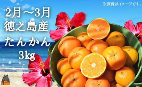 《限定受付》フルーツアイランド徳之島 フルーツ定期便 ( 3回お届け 完熟マンゴー マンゴー パッションフルーツ たんかん 柑橘 果物 徳之島 奄美 鹿児島 定期便 世界自然遺産 旬 )