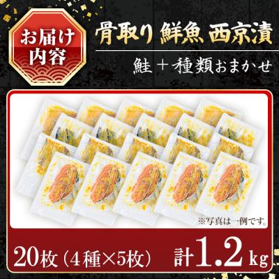 ふるさと納税 曽於市 【訳あり】鮮魚西京漬け<鮭入り>(4種×5枚/約1.2kg) |  | 01