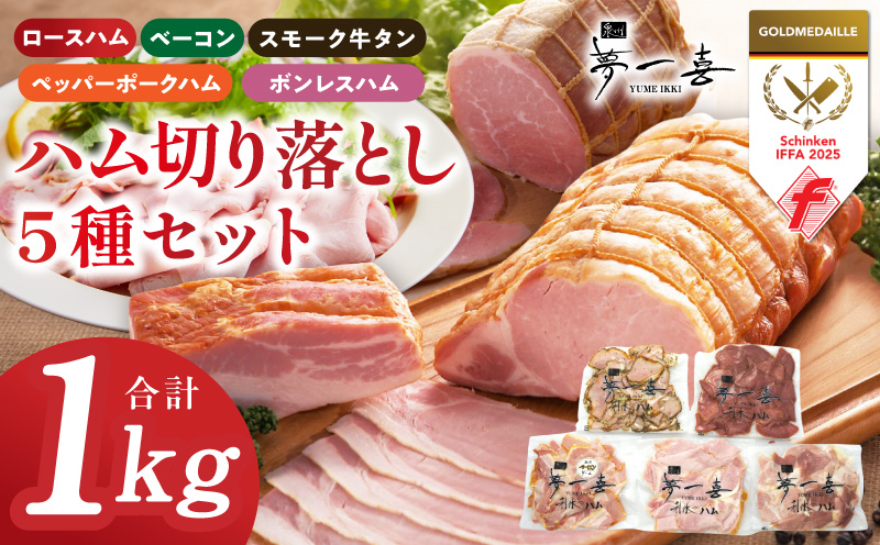 ハム 切り落とし 5種セット 合計1kg【ロースハム ベーコン スモークタン ペッパーポークハム ボンレスハム切り落とし 人気総菜 訳あり サイズ不揃い】 G4104