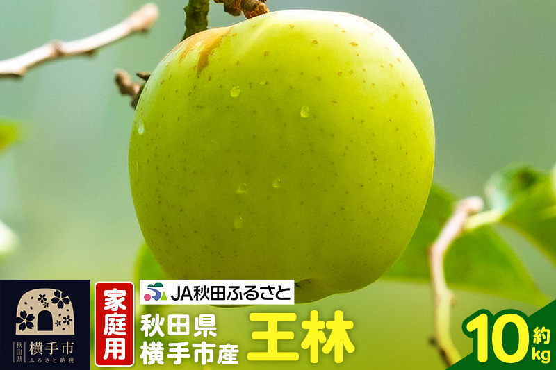 秋田県横手市産 りんご 王林 家庭用 約10kg
