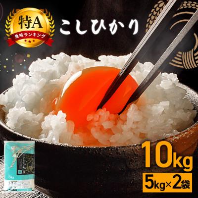 ふるさと納税 笠間市 【毎月定期便】茨城県笠間市 コシヒカリ 精米 10kg(5kg×2袋)全3回