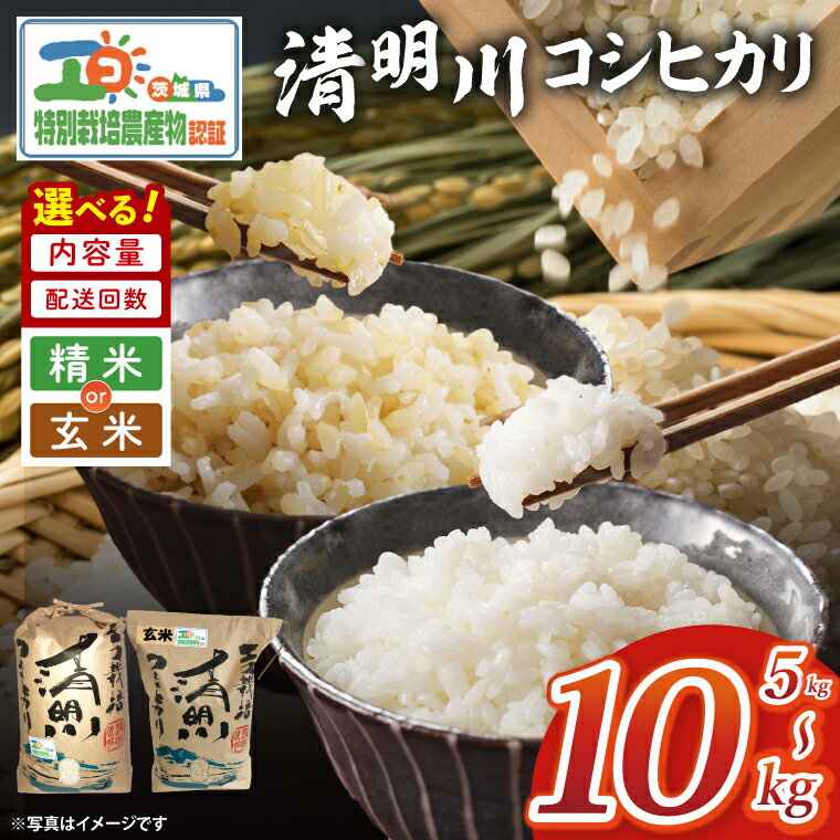 【ふるさと納税】米 5kg 10kg コシヒカリ 令和7年産 茨城県産 特別栽培米 精米 白米 玄米 おこめ 精米 清明川 定期便 3ヶ月 6ヶ月 農家直送 阿見町（04-01）