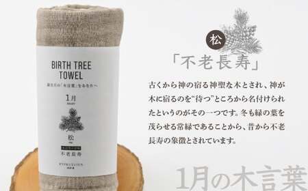 1月「松」の木言葉「不老長寿」 BIRTH TREE TOWEL |  ガーゼ ガーゼ ガーゼ ガーゼ ガーゼタオル ガーゼハンカチ タオル ハンカチ ふわふわ 草木染 染め RYOKUSUIEN 緑