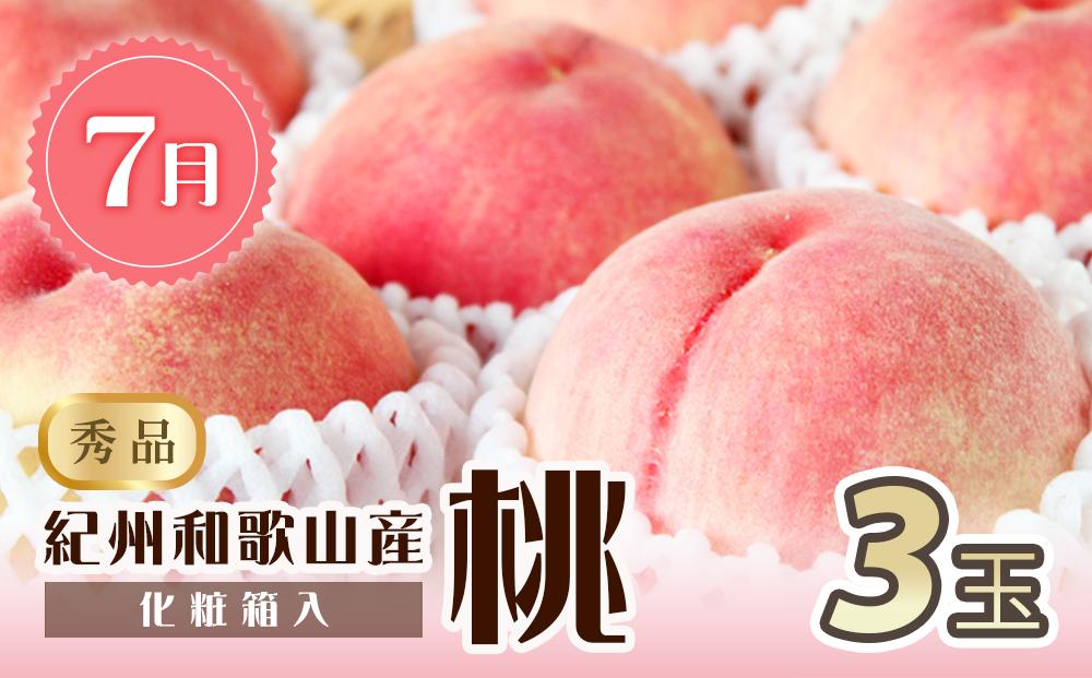 【7・8・9月 全3回 定期便 】紀州和歌山産旬のフルーツセット（桃・種なし巨峰・シャインマスカット）【UT124】