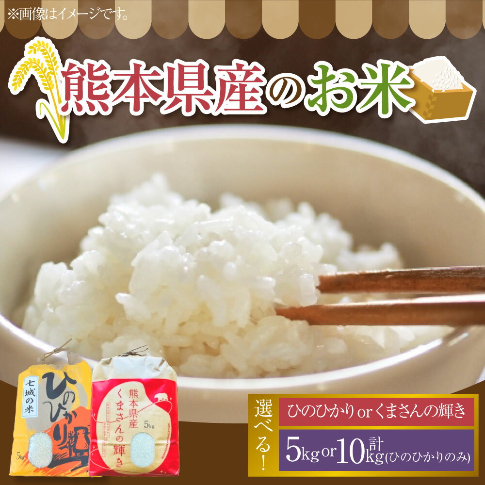 【ふるさと納税】＜選べる内容量・品種＞【令和7年度産】熊本県産のお米 5kg 5kg×2（計10kg） ひのひかり くまさんの輝き 精米 単一原料米 お米 米 こめ ごはん ご飯 国産 九州 熊本県 送料無料 【2025年11月上旬発送開始】