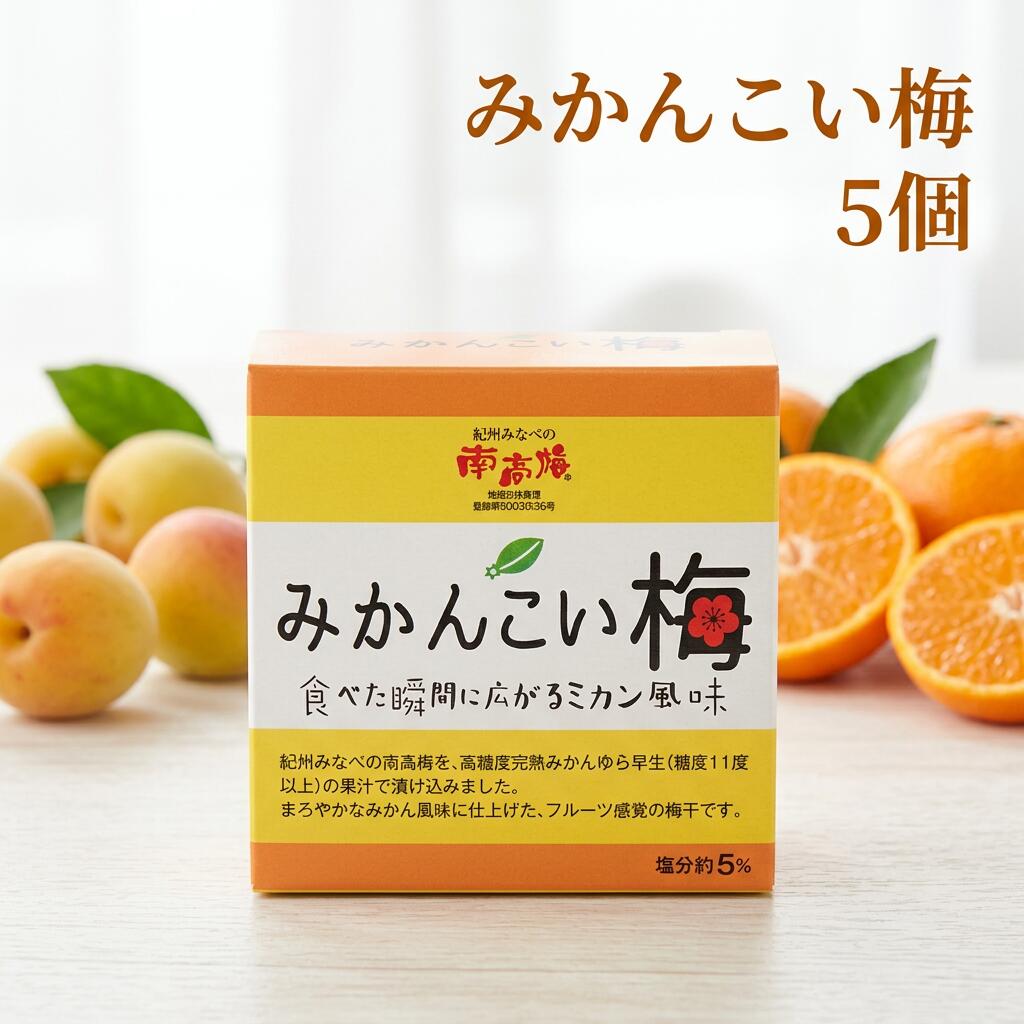 【ふるさと納税】みかんこい梅 100g×5個 紀州南高梅 みかん風味 塩分約5％ みなべ町