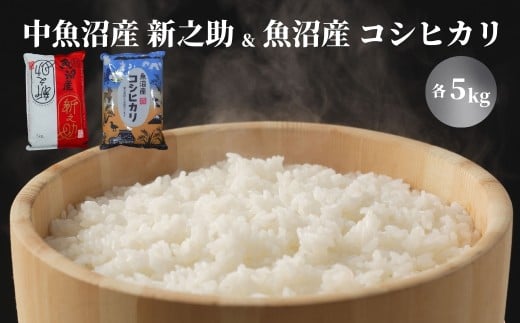 【 食べ比べセット 各5kg】 中魚沼産 新之助 ・ 魚沼産コシヒカリ 金印  令和7年産 | 新潟県産コシヒカリ お米 米 こしひかり しんのすけ 食べ比べ 白米 精米 ブランド米  新潟県 津南町 有限会社イタバ