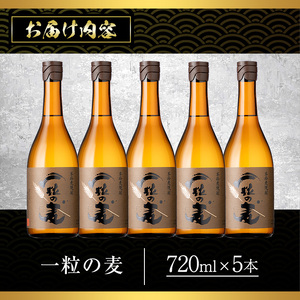 No.912 一粒の麦(720ml×5本)焼酎 麦焼酎 酒 アルコール 麦 家飲み 宅飲み 大麦 大麦麹 セット 常温 常温保存【西酒造】