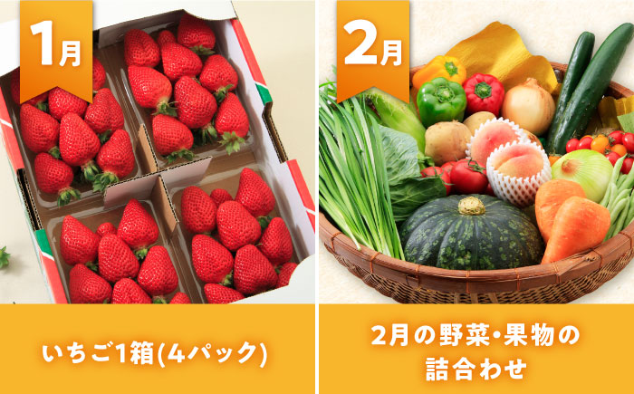 【全12回定期便】シュシュ大人気コース復刻版１ 大村市 おおむら夢ファームシュシュ [ACAA093]