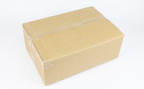 ブラッドオレンジ タロッコ 4kg ブラッド オレンジ 愛媛みかん オレンジ つばさ農園 ブラッド オレンジ B010-048003
