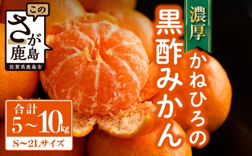 
                  かねひろの黒酢みかん【5kg 10kg S～2L サイズ別】先行予約《11月下旬～1月上旬頃発送予定》温州みかん ふるさと納税 みかん 5kg 10kg 少量 大容量 フルーツ 甘い ジューシー 果物 蜜柑 お取り寄せ 農家直送 国産 九州 佐賀県 鹿島市 送料無料
                