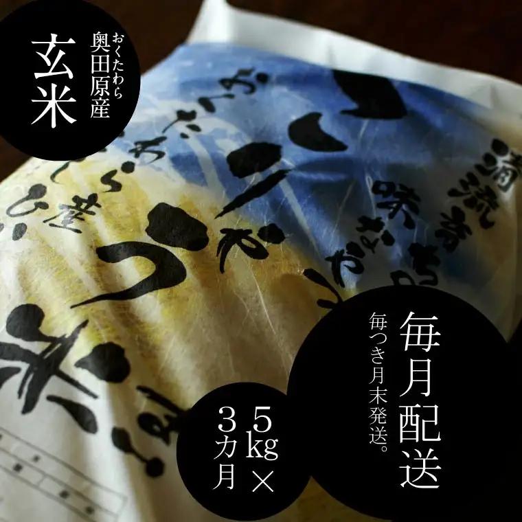 安来のお米【定期便】 こりゃう米（まい）玄米 5kg×3回（毎月）令和7年産 コシヒカリ