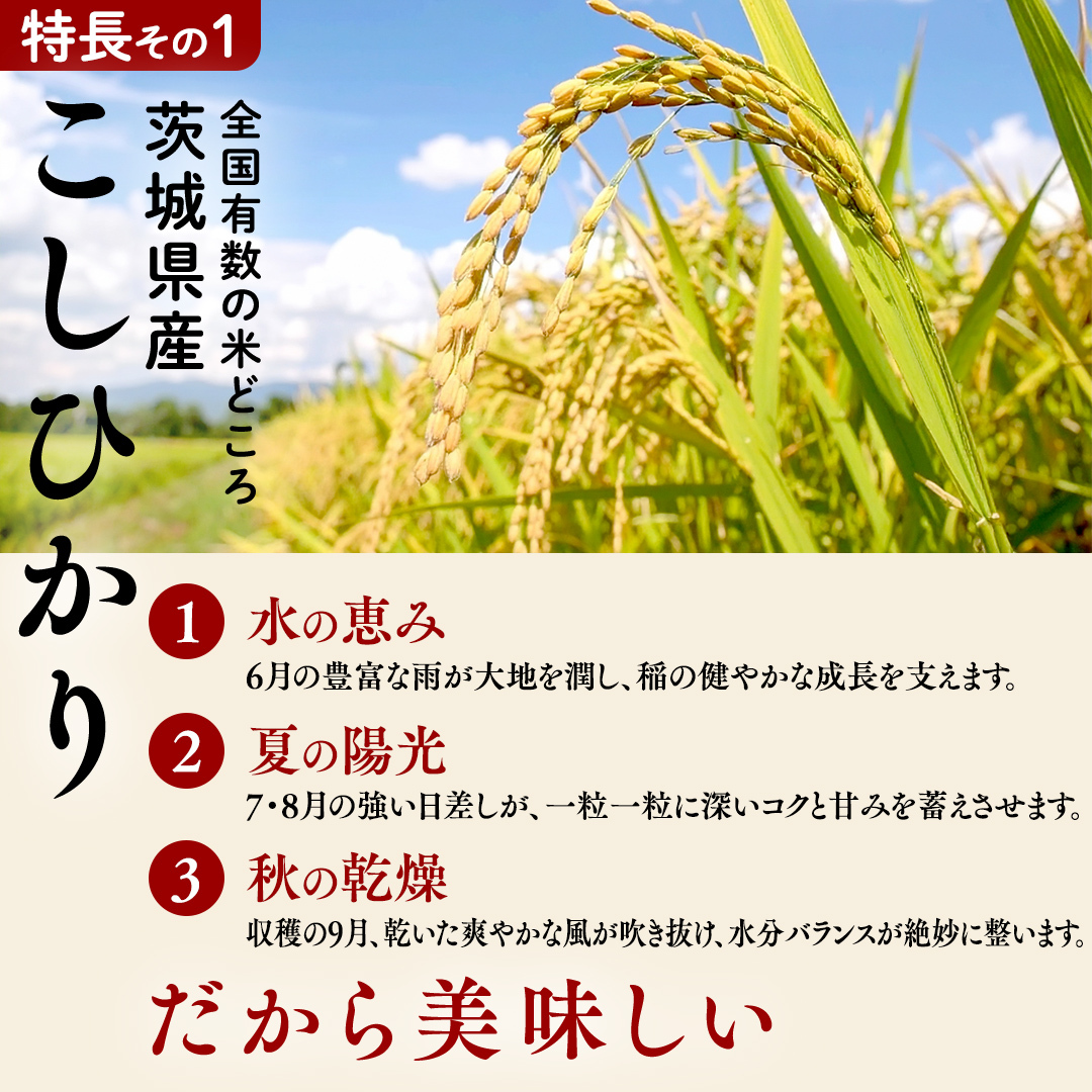 【 金芽米 】＜10月下旬出荷＞ つくばみらい市産 コシヒカリ 5kg × 2袋 ( 計 10kg ) 金芽米 きんめまい 米 お米 無洗米 茨城県 カロリーオフ 低カロリー 東洋ライス 節水 時短 