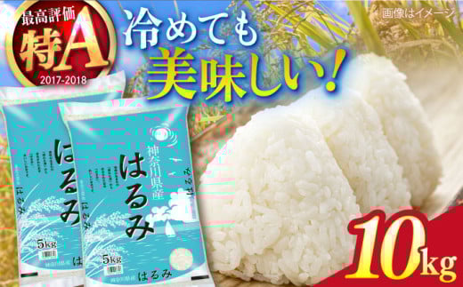【数量限定100セット】令和7年産 お米 はるみ 10kg 米 お米 こめ おこめ コメ さっぱり 粘り うま味 精米 はるみ 神奈川県 神奈川  10キロ 特Ａ ランキング 【株式会社ヨコショク】 [AKGC002]