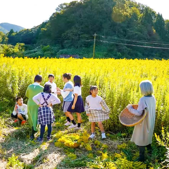 SANBE Botanicals〈セイタカアワダチソウ〉アロマ3点セット【アロマ ファブリックスプレー バスソルト 詰め合わせ セット 精油 プレゼント 母の日】