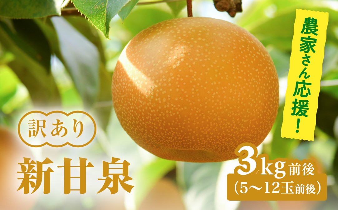 
                  【令和9年産先行予約】農家さん応援！ 訳あり 新甘泉（しんかんせん） 3kg前後(5～12玉前後) 梨 なし フルーツ 鳥取 高間商店 日野町
                