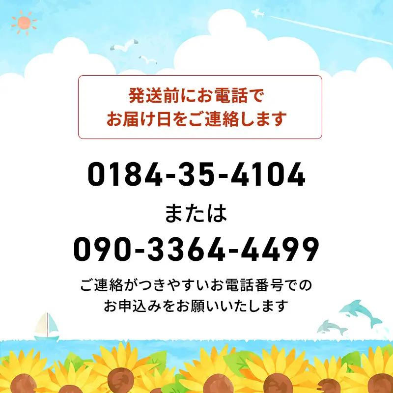 【先行予約】天然岩牡蠣 10～15個 生食可 象潟産 ナイフ無
