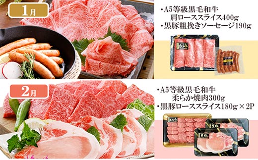 定期便(1年で10回配送)お楽しみ便(A5等級黒毛和牛・鹿籠豚(黒豚)・かご豚加工品等HH-6004【1166752】 _ ふるさと納税 定期便 肉 牛肉 サーロイン ステーキ 焼肉 ハンバーグ 切り落とし 豚肉 ロース バラ もつ鍋