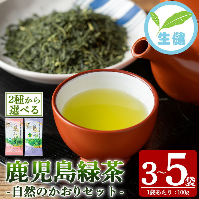 【ふるさと納税】＜種類が選べる！＞鹿児島県産緑茶 自然のかおり《竹 / 松》(竹：100g×5袋、松：100g×3袋) 鹿児島 鹿児島県産 お茶 茶 緑茶 茶葉 ギフト プレゼント 贈り物 常温 【米丸製茶】