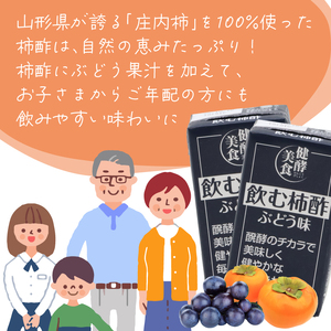 飲む柿酢 ぶどう味 紙パック 125ml×10本 008-G-MB007