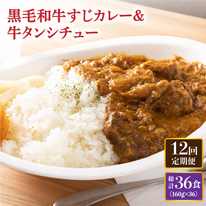 【ふるさと納税】【全12回定期便】 黒毛和牛 牛すじカレー ＆ 牛タンシチュー 毎月3食 長与町/炭火焼肉あおい [EBW009] 和牛カレー タンシチュー 常温
