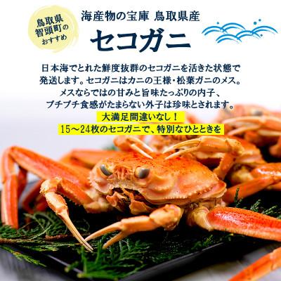 ふるさと納税 智頭町 【新物とれたて】せこがに セイコガニ 活生 姿 約3kg 15〜24枚 松葉ガニのメス 鳥取県 |  | 02