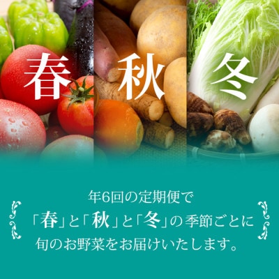 【発送月固定定期便】枕崎には野菜もある!!定番・旬の野菜お任せセット HH0−0002 全6回【配送不可地域：離島】【4057570】