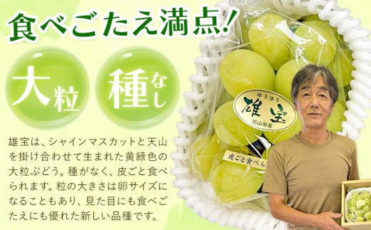 【2027年発送】ぶどう 雄宝 約1kg (1房入り) カプセル 西江果樹園《2027年8月中旬-8月下旬頃出荷》岡山県 笠岡市 送料無料 大粒 葡萄 マスカット 果物 岡山県産 国産 フルーツ お取