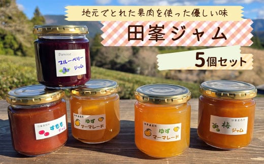 田峯手作りジャム 5個セット すもも 梅 ブルーベリー ゆず マーマレード ジャム 手作り 詰め合わせ  -021