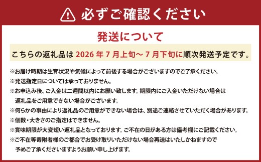 キングメルティーメロン 5～6玉（1玉 約1.6kg）