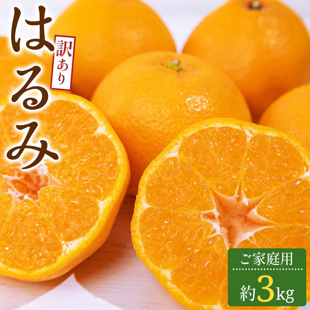 【ふるさと納税】訳あり ご家庭用 はるみ 約3kg【2027-2月上旬～2027-3月下旬配送】 | みかん ミカン 果物 フルーツ 柑橘 プチプチ 弾ける 甘い 大粒 果肉 果汁 たっぷり 爽やか