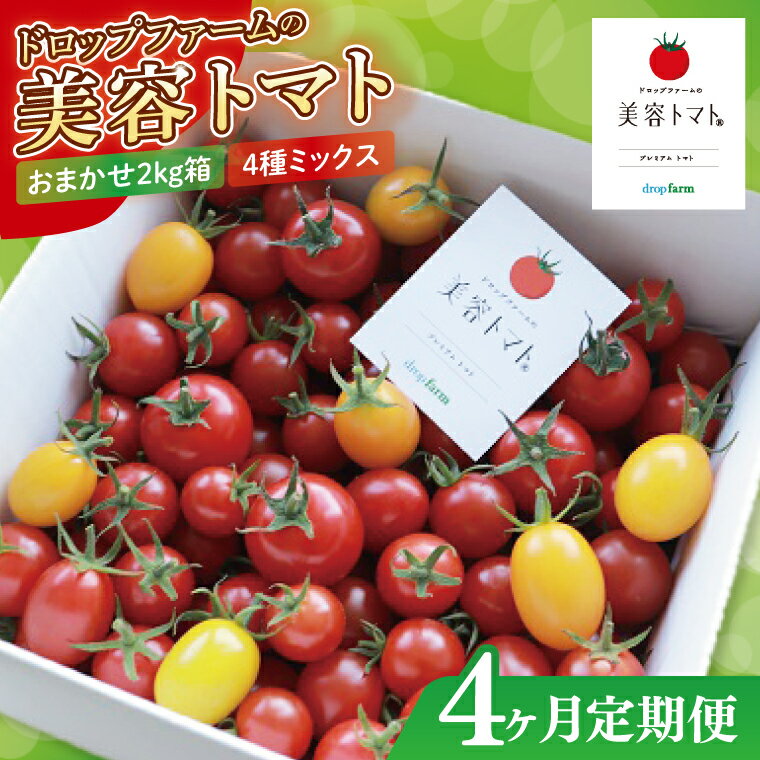 【ふるさと納税】【4ヶ月定期便】【11月より順次発送】ドロップファームの美容トマトおまかせ2kg箱(4種ミックス)【とまと フルーツトマト 野菜ソムリエ 栄養士 アイコ イエローアイコ 小鈴 フルティカ 野菜 フレッシュ 水戸市 茨城県】（CK-19）