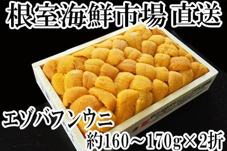 根室海鮮市場＜直送＞エゾバフンウニ(黄系)160～170g×2折 D-28041