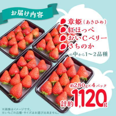 岡山県美作市産　いちご詰合せ(約280g×4パック)【配送不可地域：離島・北海道・沖縄県】