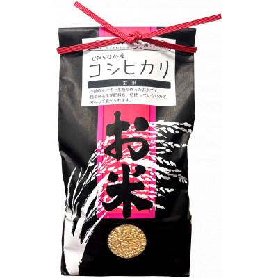 ふるさと納税 ひたちなか市 【特別栽培米】コシヒカリ　茨城県産　玄米　4.5kg