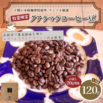 ふるさと納税 下関市 【豆】 訳あり コーヒー豆 お試し 120g 数量限定 グアテマラ EW147-E