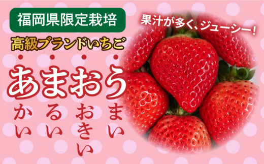 【先行予約】【農家直送！】糸島産 春 あまおう 280g × 4パック  (DXまたはGサイズ)   【2025年1月下旬より順次発送】糸島市 / 後藤農園 [AML002] いちご 福岡