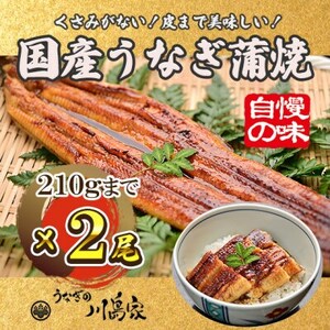 【冷凍2尾】岬町自慢の味　うなぎの川島家　国産うなぎ蒲焼　中サイズ(195g～210g)特製タレ付き【配送不可地域：離島】【1488337】