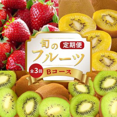ふるさと納税 丸亀市 【発送月固定定期便】フルーツ定期便 Bコース(ゴールドキウイ いちご 香緑キウイ)全3回