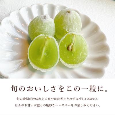 ふるさと納税 三原市 数々のメディアで紹介され大人気のひとつぶのマスカット(6個入)[018-001] |  | 02