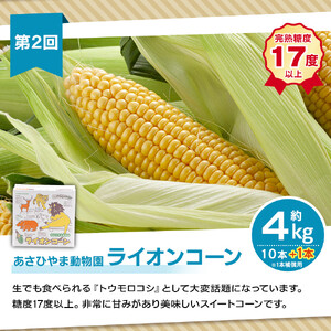【26年7月発送開始】かに太郎 定期便Aセット（赤肉メロン、ライオンコーン、白くまコーン、無添加鮭イクラ醤油漬け）全4回 | 定期便 _01193