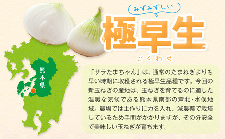 訳あり サラたまちゃん 新玉ねぎ 5kg 《4月中旬-5月末頃出荷》熊本県 葦北郡 津奈木町 野菜 たまねぎ エコファーマー 大中小サイズ混合 特産品 サラたまちゃん サラダ玉ねぎ 玉ねぎ タマネギ